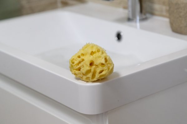 ellie-fant natural baby sea sponge