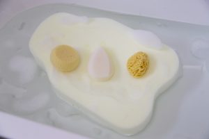 bathing new-born foam support and baby sponges