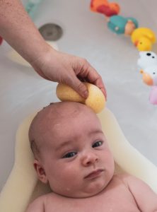 Ellie-Fant round bath sponge