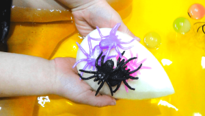 colour spiders on the sponge