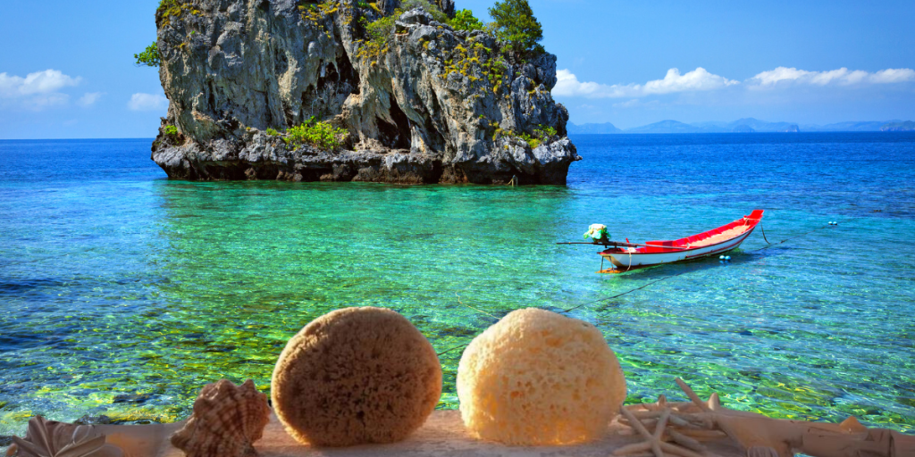 two natural sea sponges and the sea and a boat background