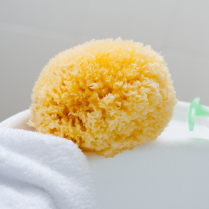 natural sea sponge on a bathtub